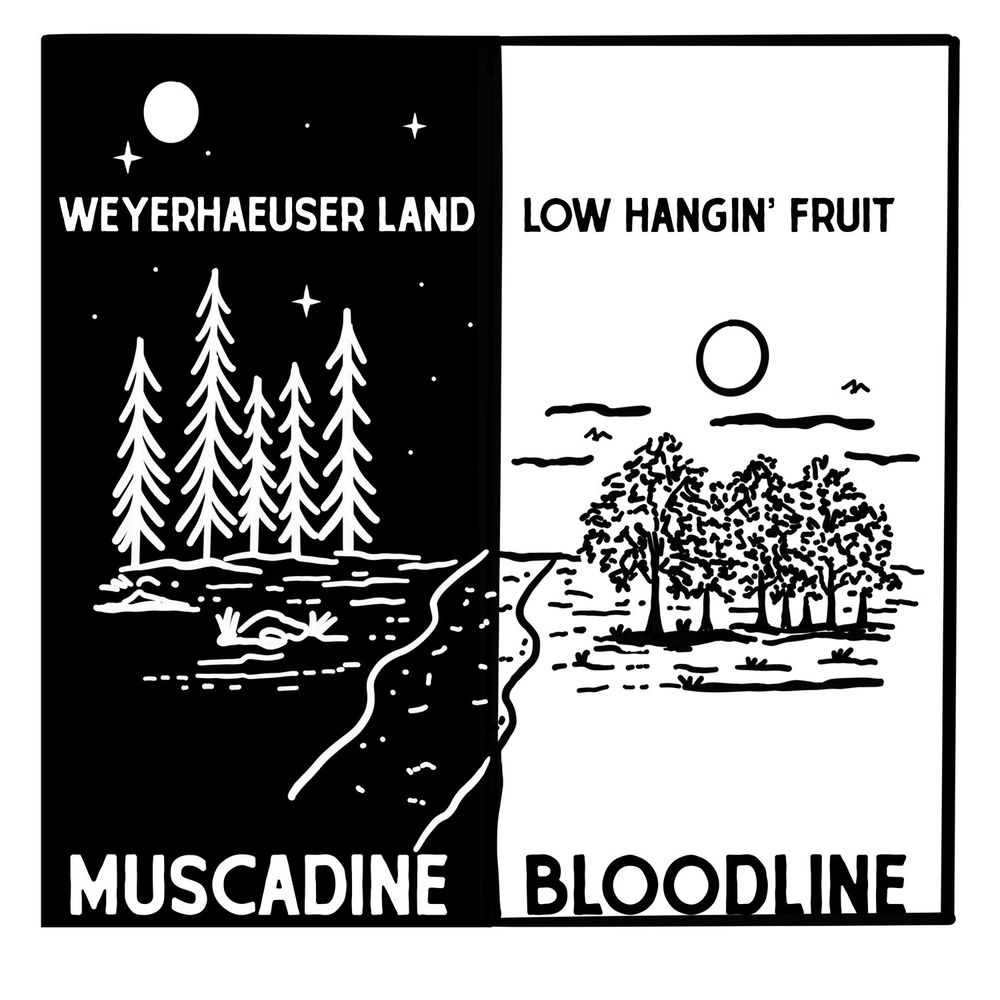Weyerhaeuser Land / Low Hangin' Fruit cover