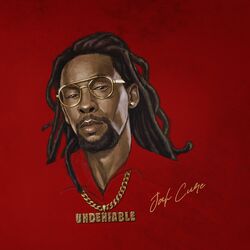 Cover of Undeniable