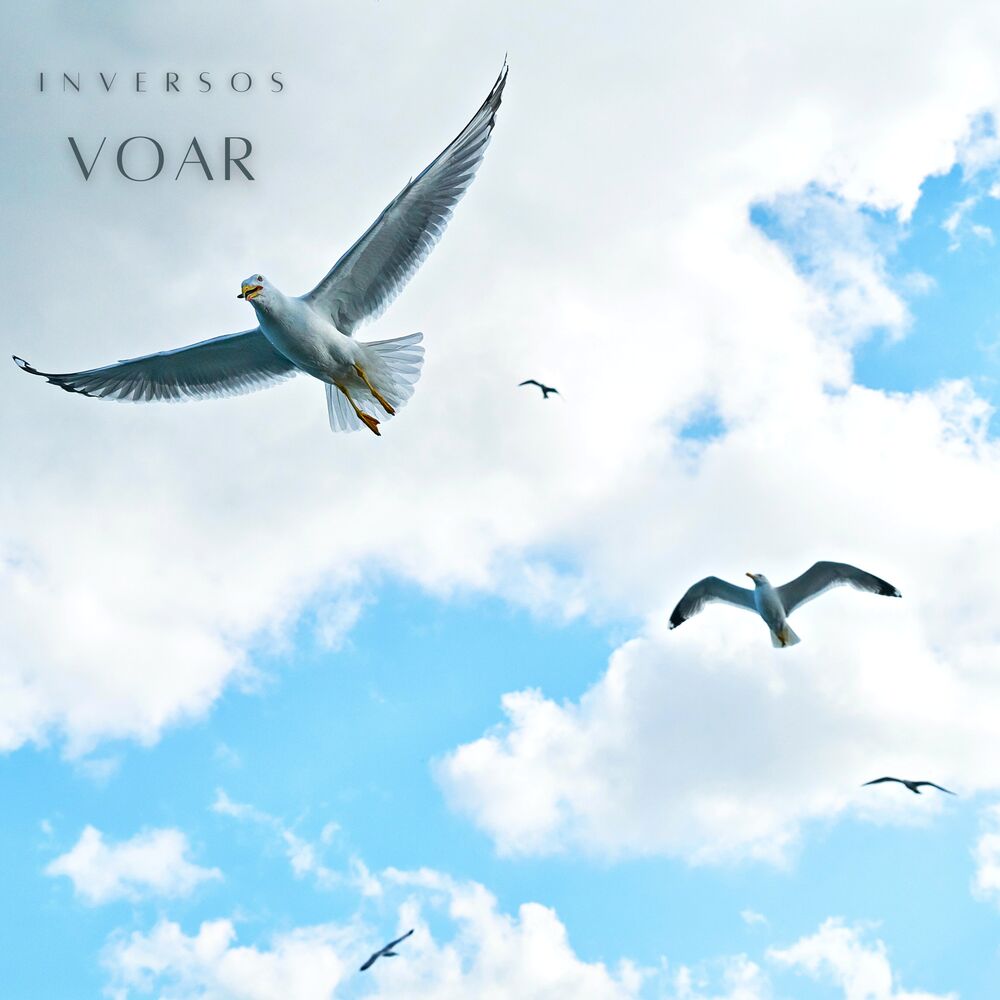 Picture of Voar