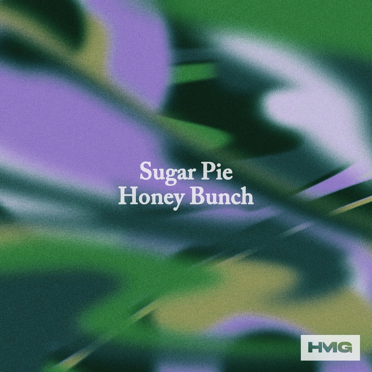 Album picture of Sugar Pie Honey Bunch