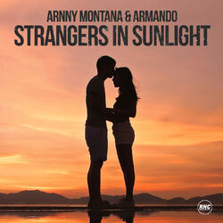 Cover of Strangers in Sunlight (Radio Edit)