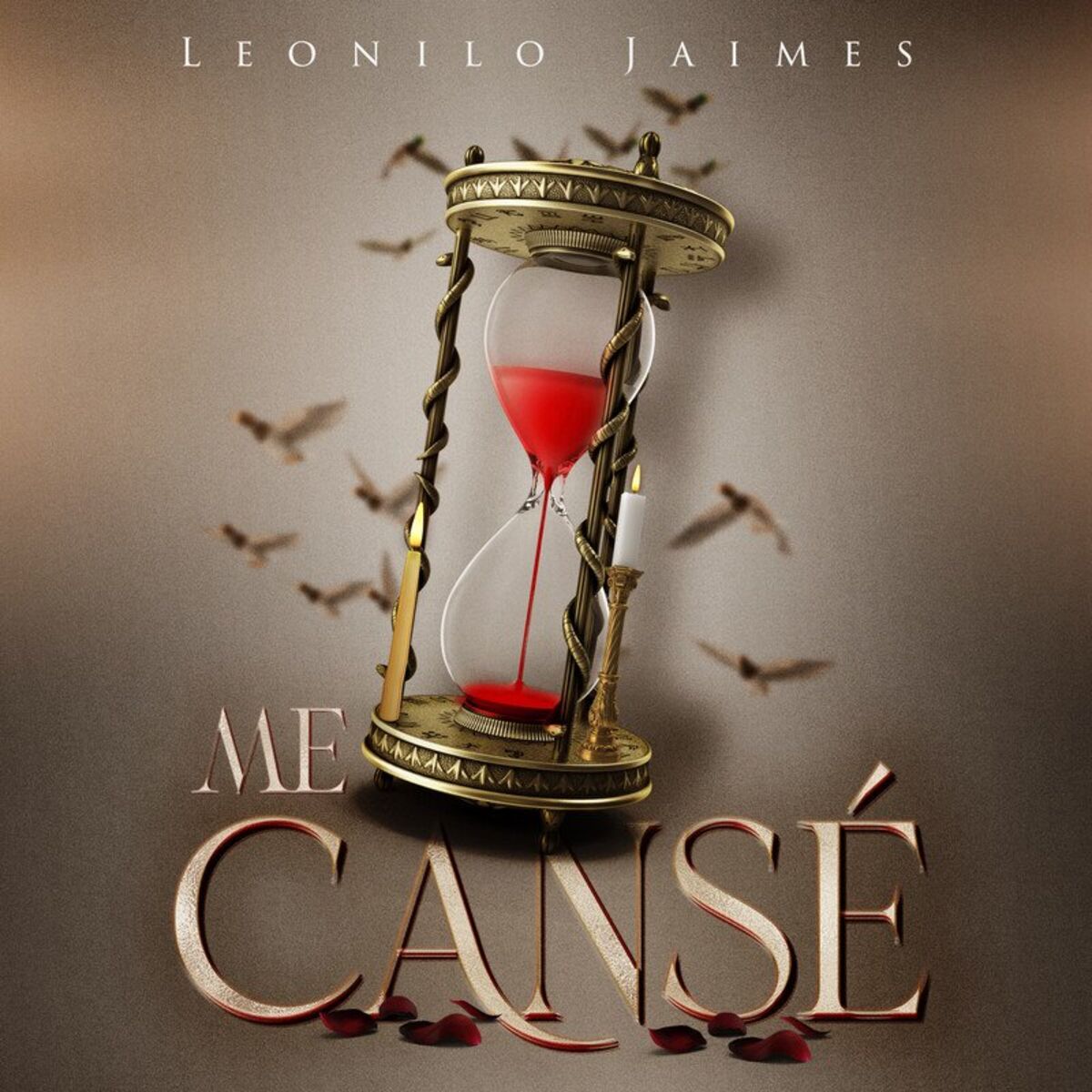 Album cover of Me Cansé