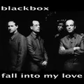 Fall into My Love (Radio Edit)