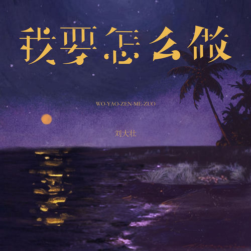 我要怎么做