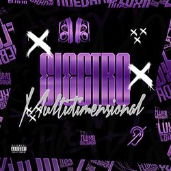 Cover of ELECTRO MULTIDIMENSIONAL