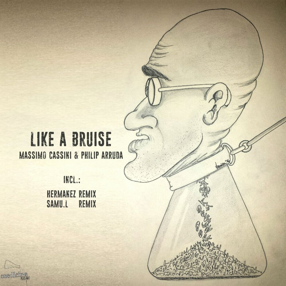 Picture of Like A Bruise