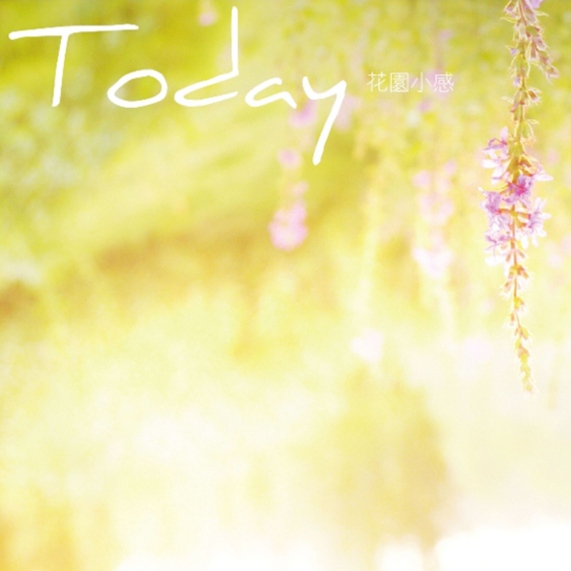 Album cover of 花园小感
