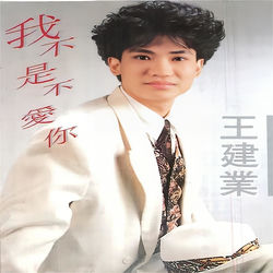 Cover of 我不是不爱你 by undefined