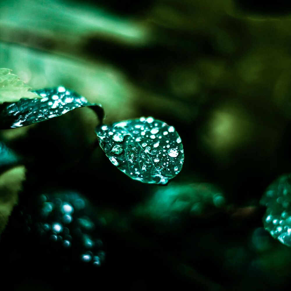 Picture of 365 Sound Therapy: Rainy Night Comforts