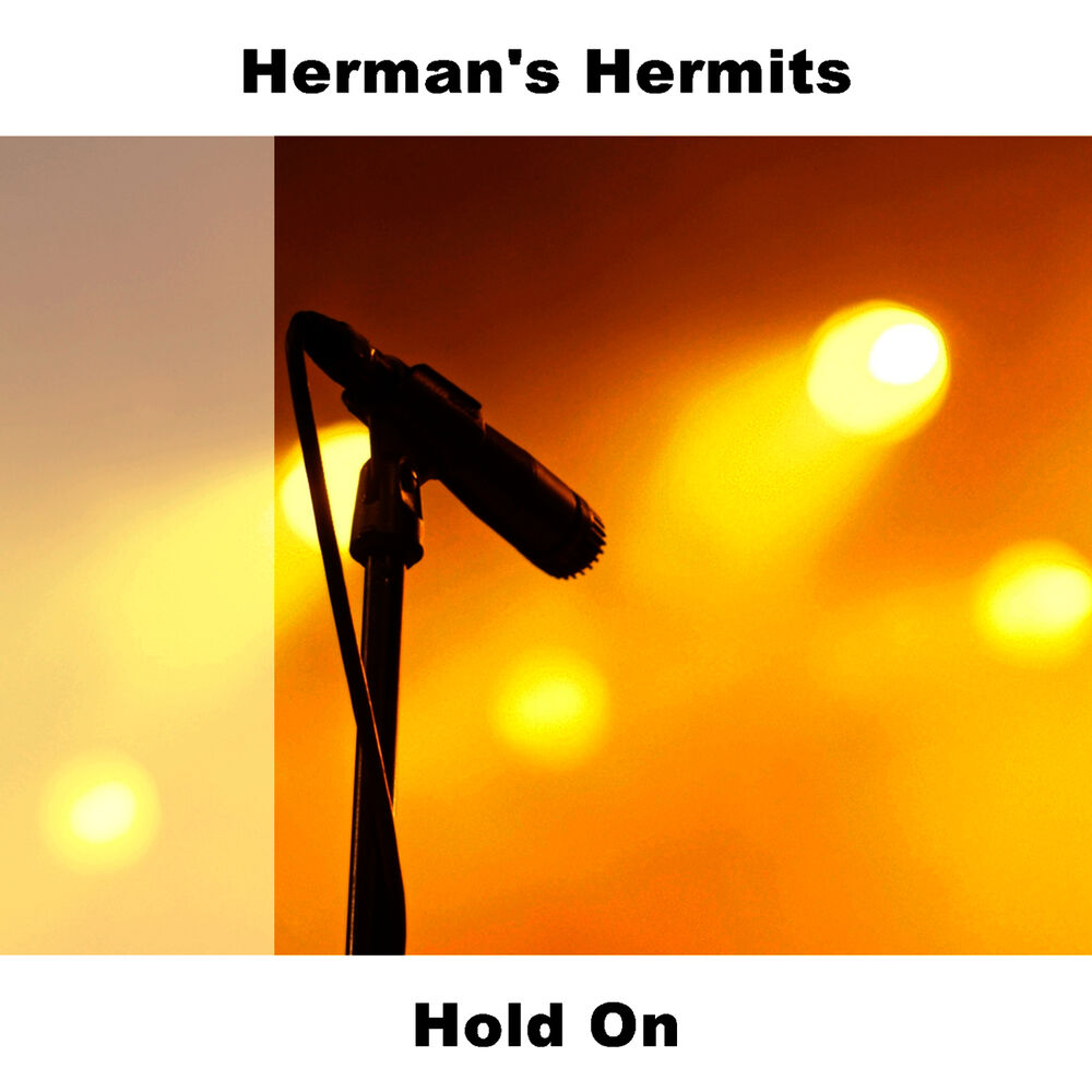 Picture of Hold On