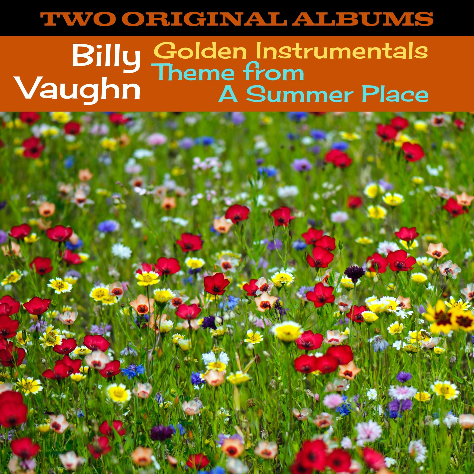 Album cover of Golden Instrumentals / Theme from A Summer Place