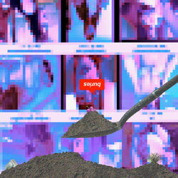 Cover of buries