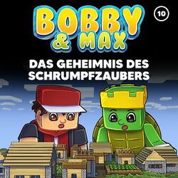 Cover of Folge 10: Das Geheimnis des Schrumpfzaubers