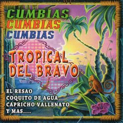 Cover of Cumbias Cumbias Cumbias