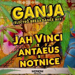 Cover of Ganja (Electro Breakdance Mix)