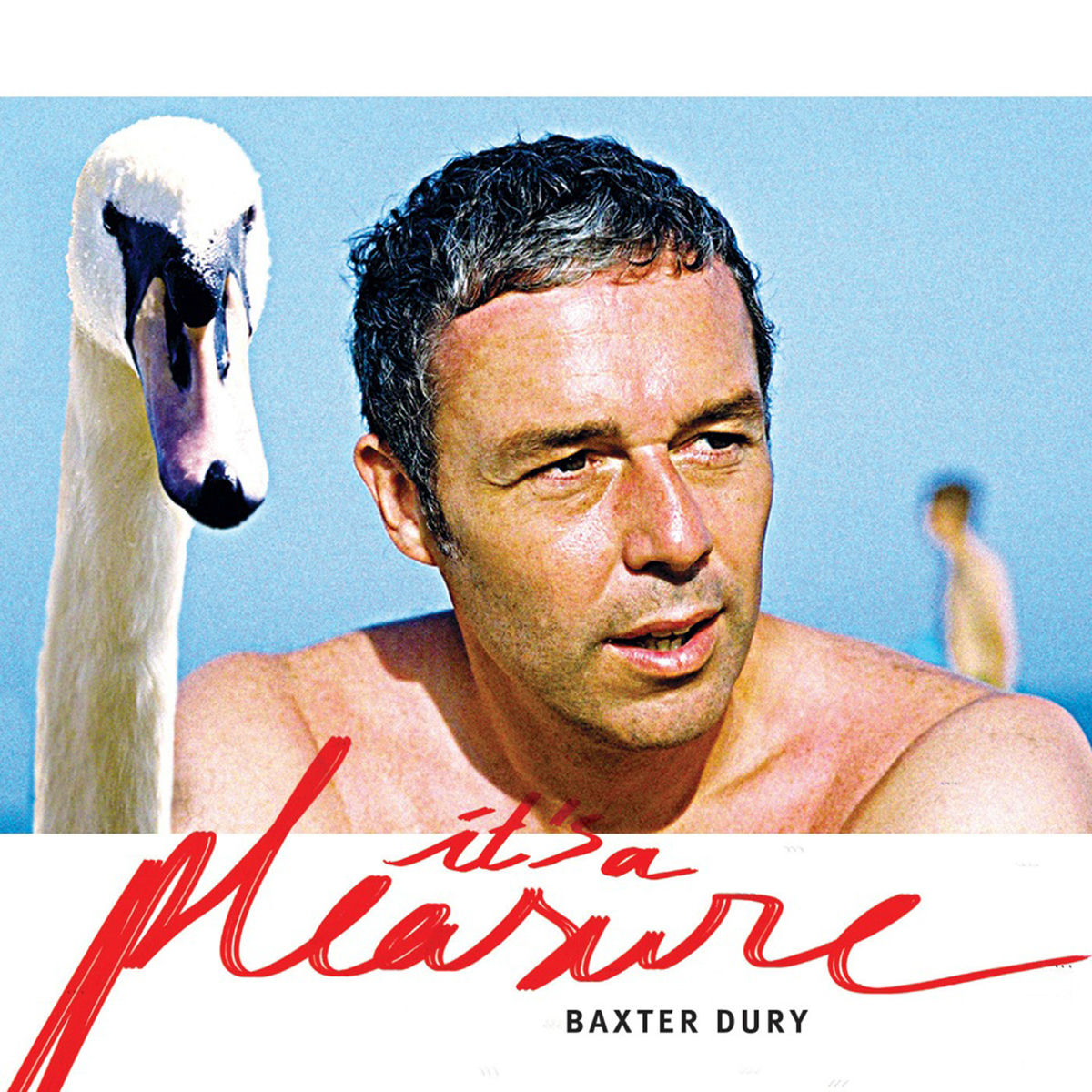 Album cover of Pleasure
