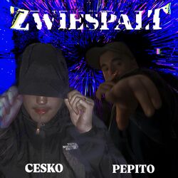 Cover of ZWIESPALT