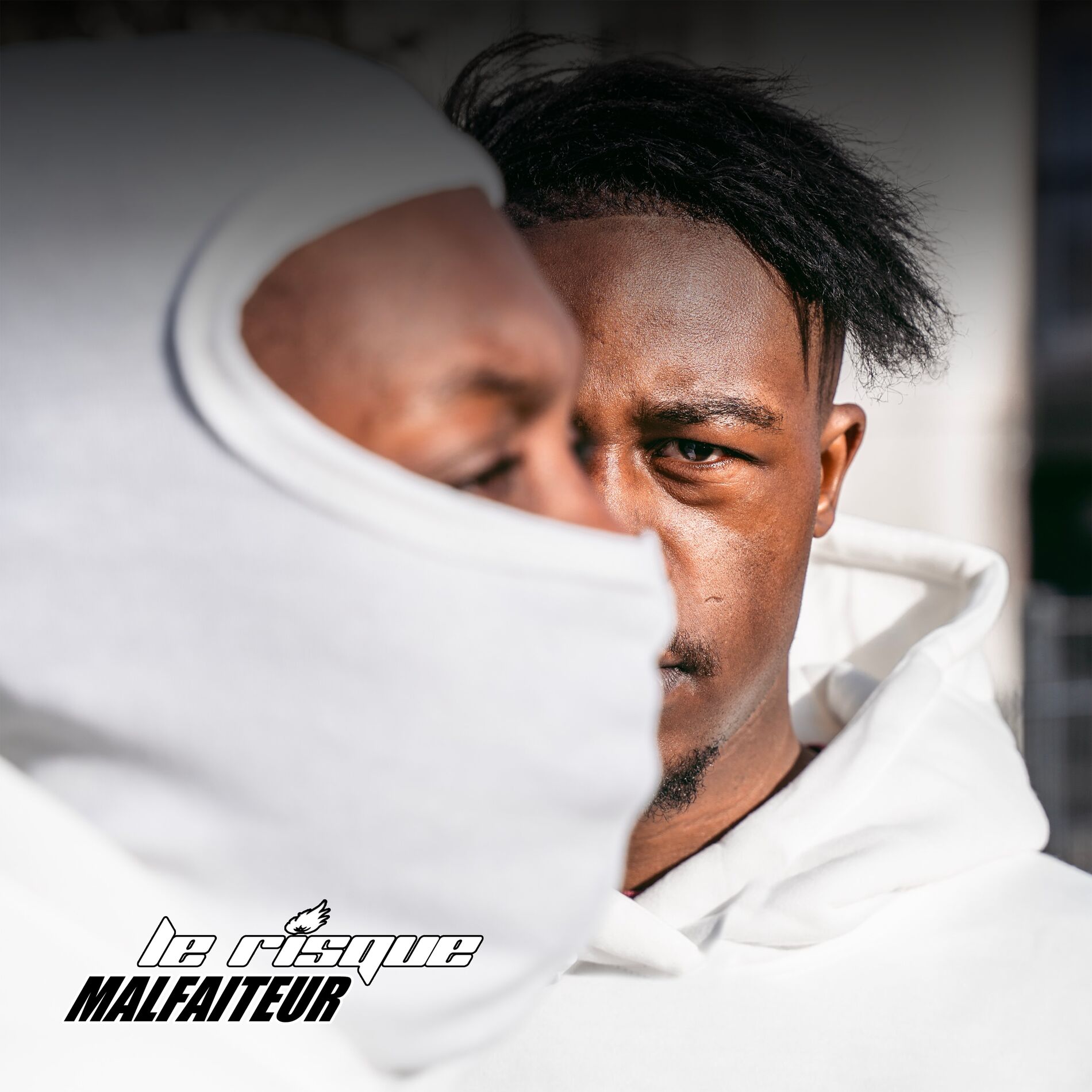 Album cover of Malfaiteur