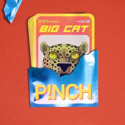 Cover of Big Cat