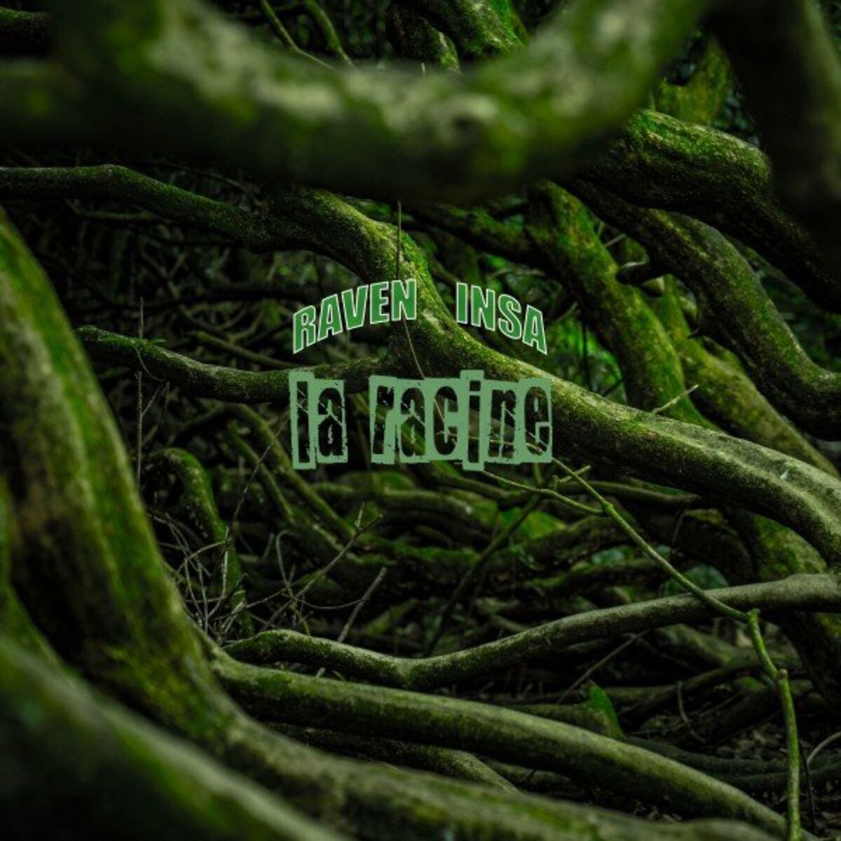 Album cover of La racine