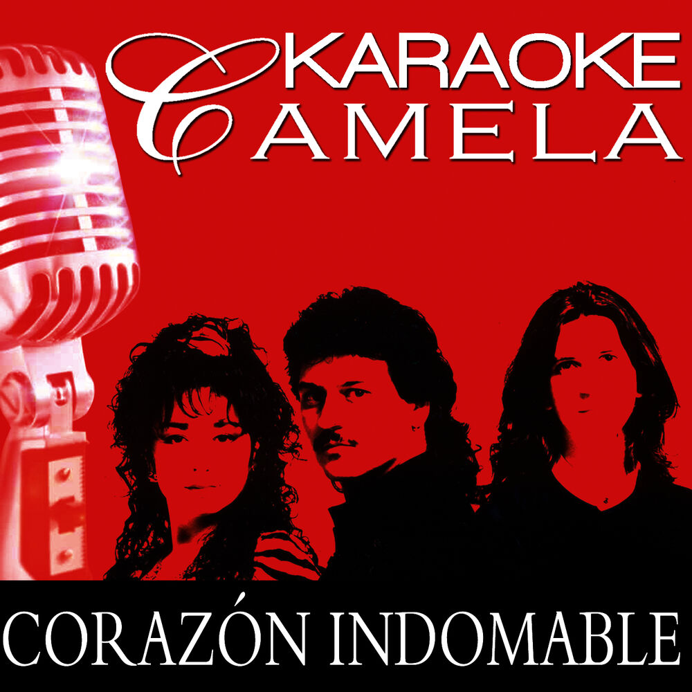 Picture of Karaoke Camela Solo Por Ti Playback