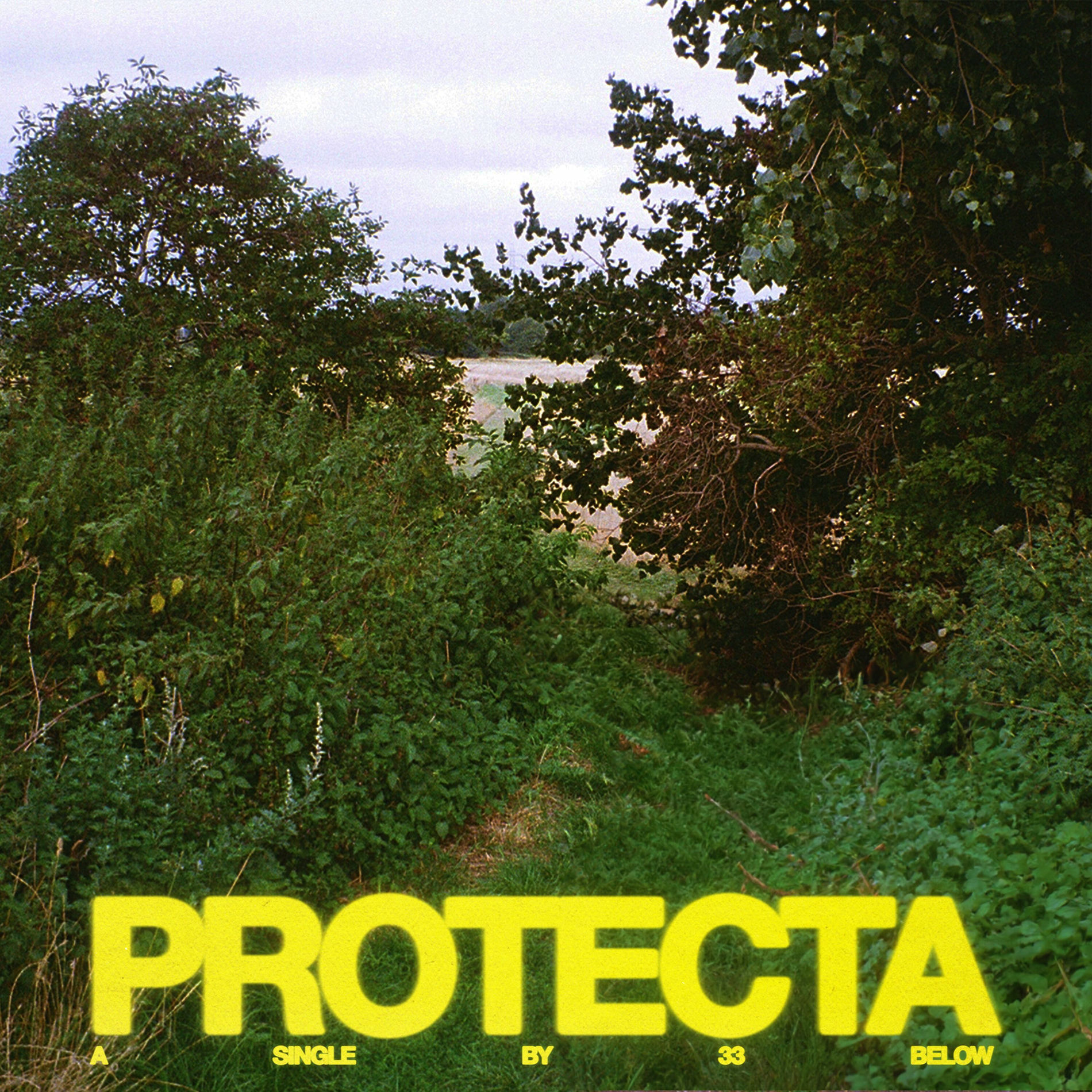 Album cover of PROTECTA
