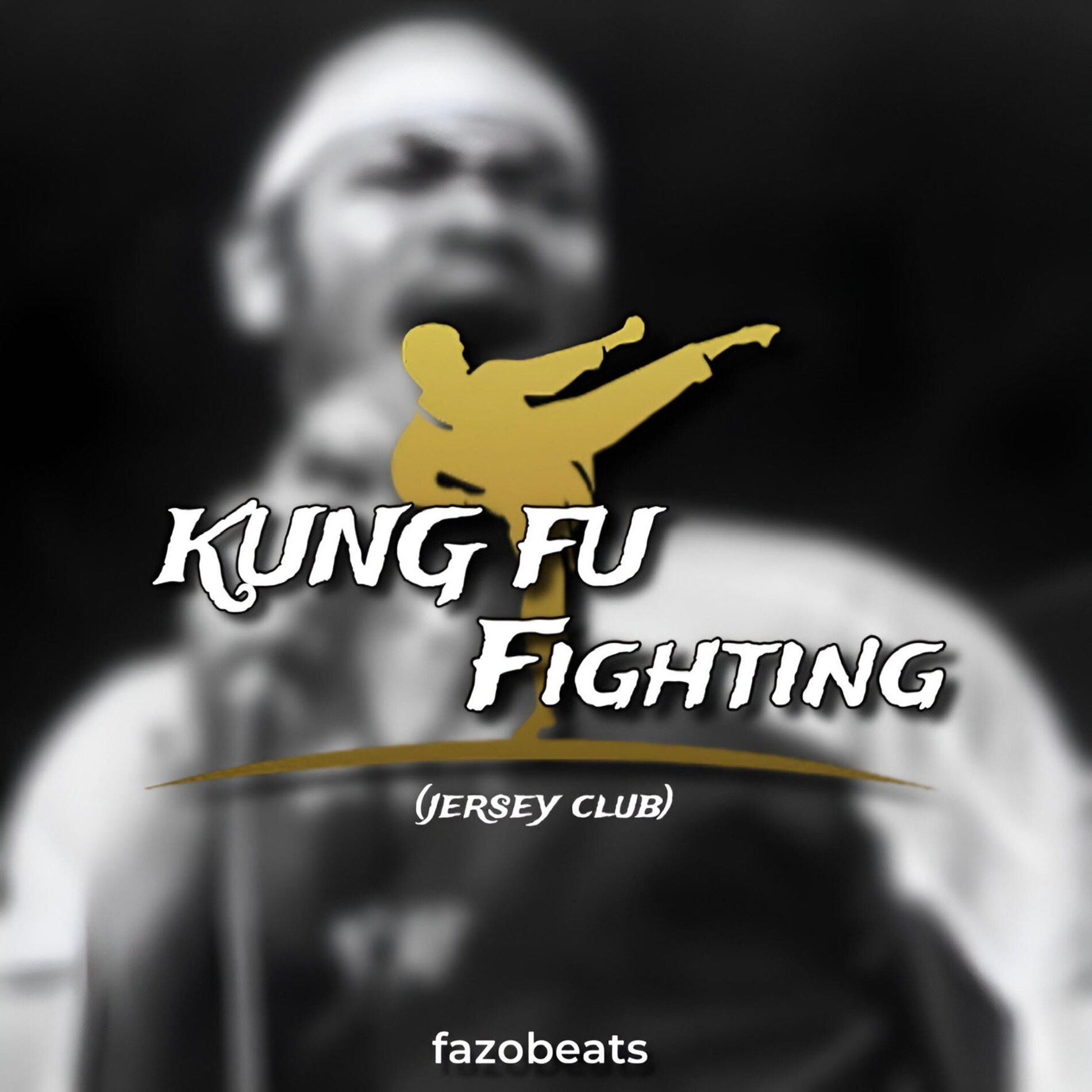 Album cover of Kung Fu Fighting