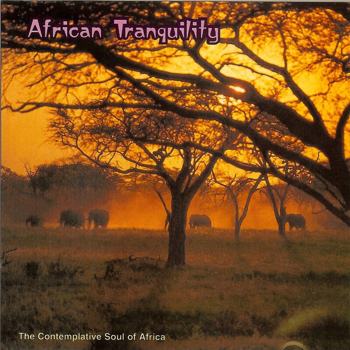Album cover of African Tranquility: The Contemplative Soul of Africa