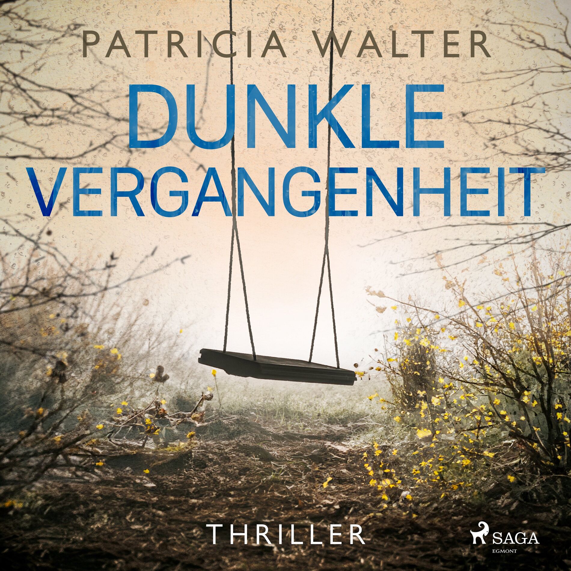Album cover of Dunkle Vergangenheit (Wie weit würdest du gehen, um dein Kind zu retten?)