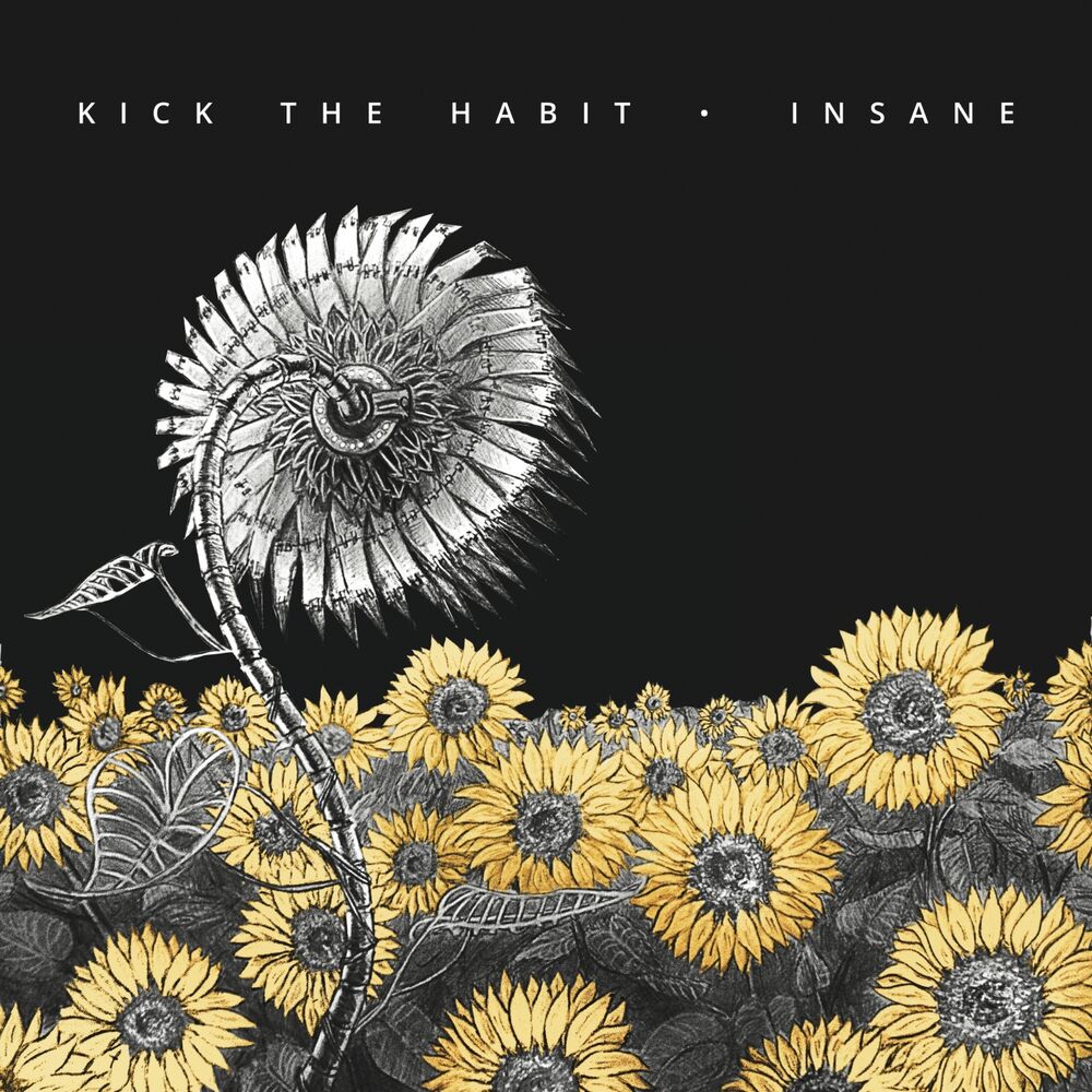 Picture of Insane