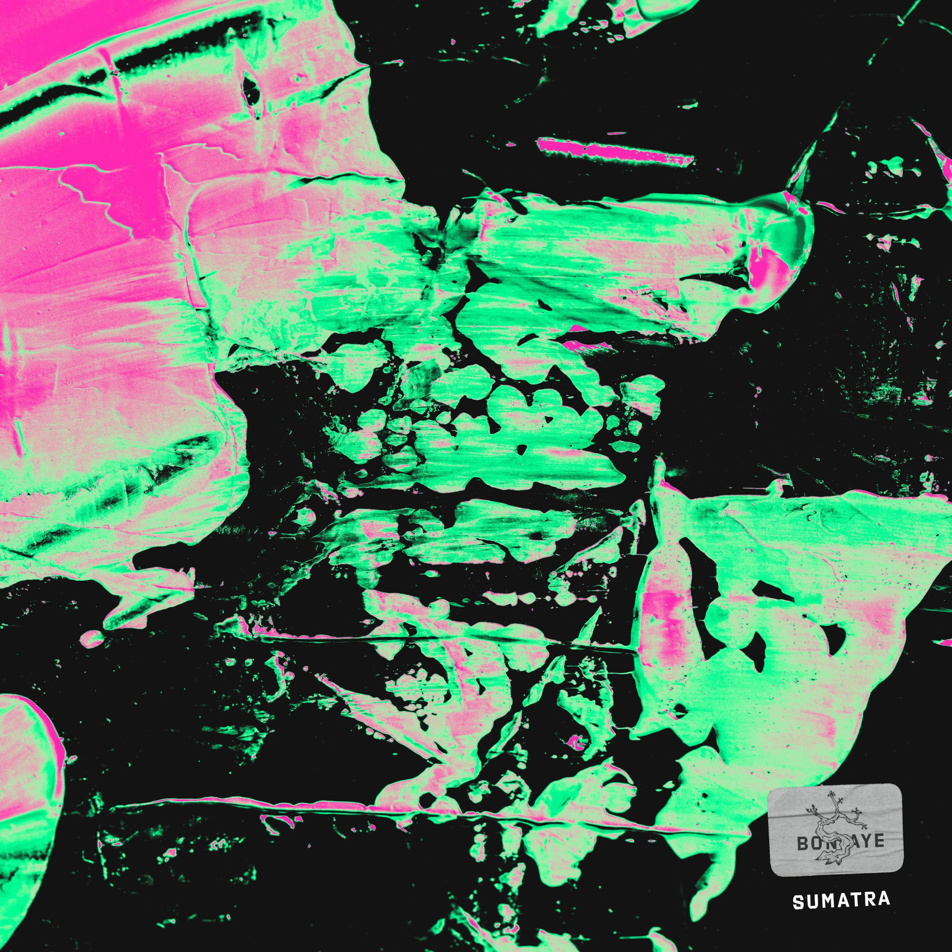 Album cover of Sumatra