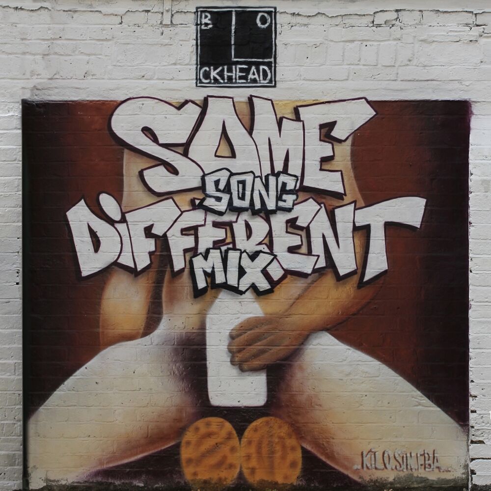 Picture of Same Song Different Mix