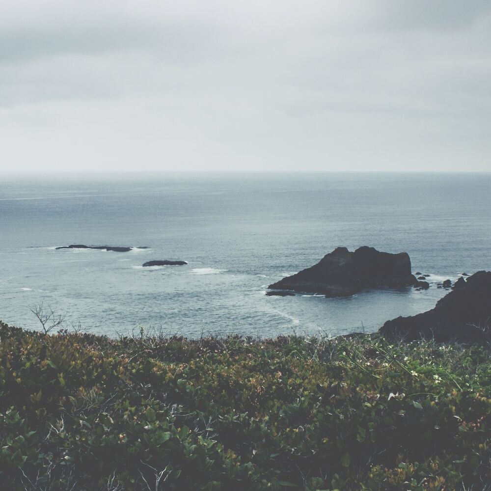 Picture of Silences