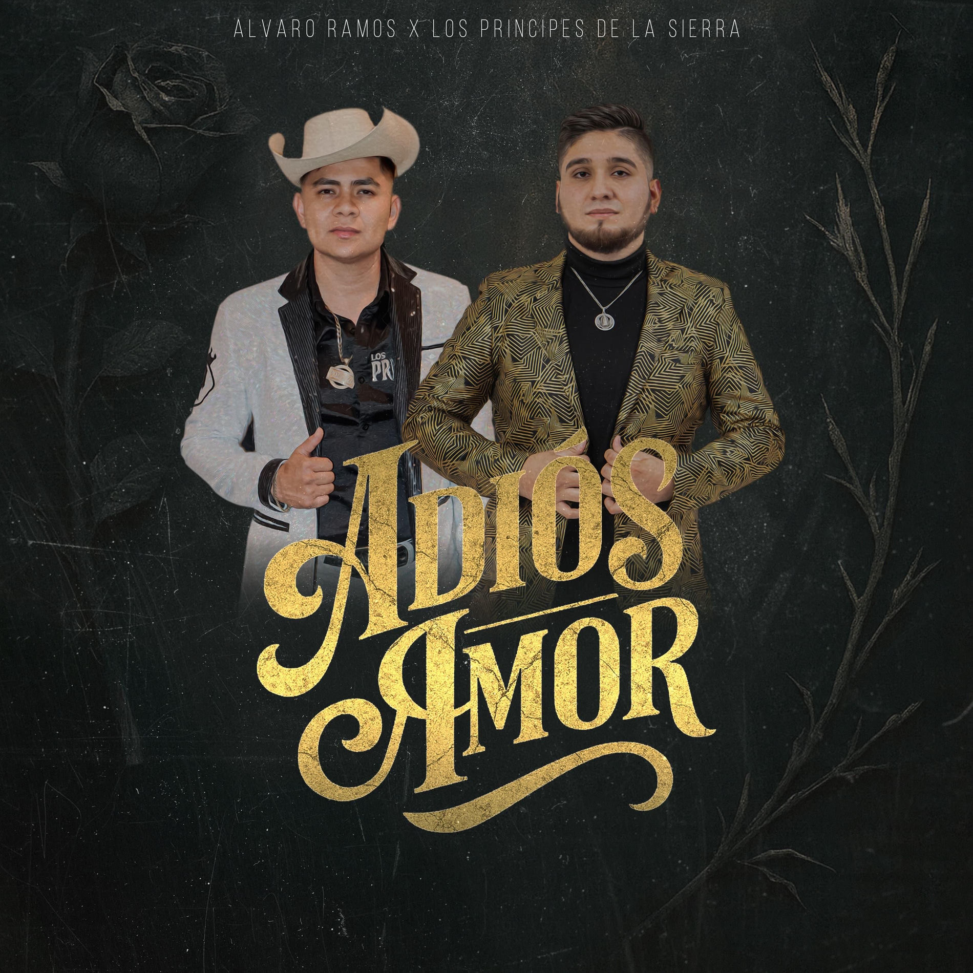 Album cover of Adiós Amor