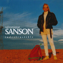 Cover of Indestructible (Edition Deluxe)