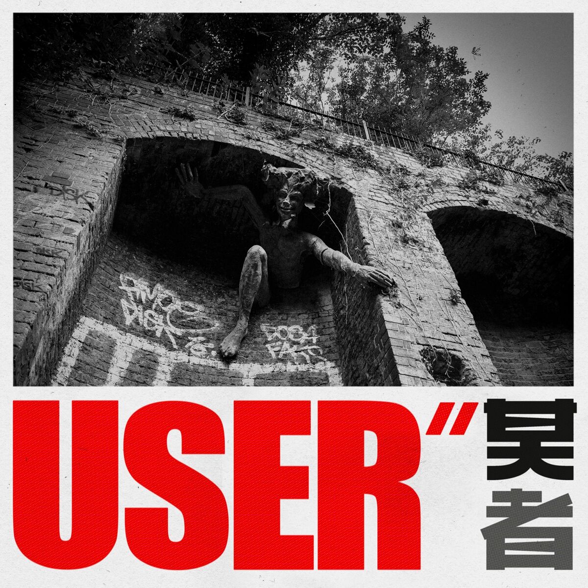 Album cover of User