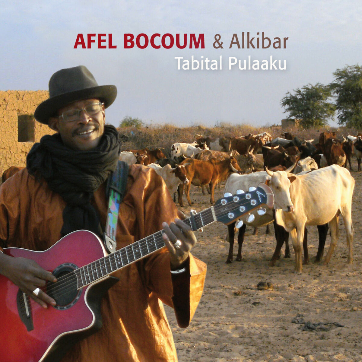 Album cover of Tabital Pulaaku