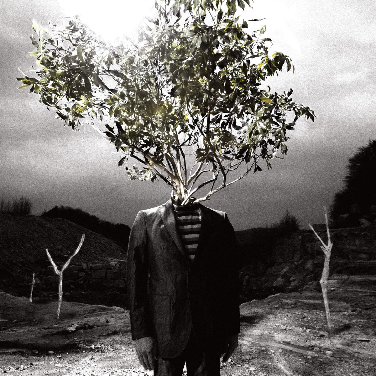 Album cover of Revolutionary