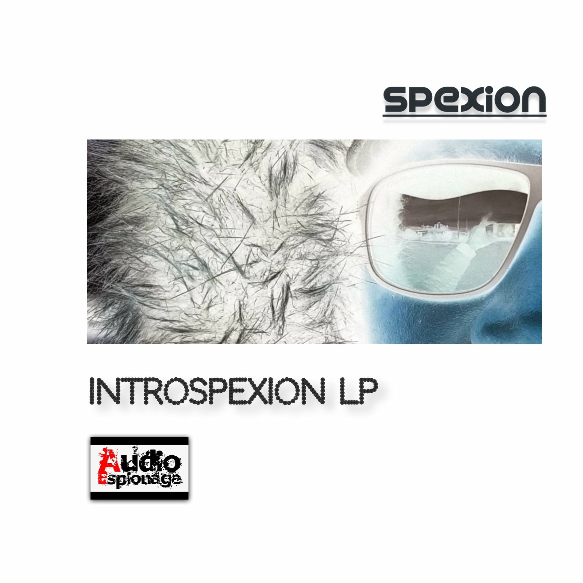 Album cover of Introspexion LP