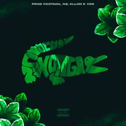 Cover of Crocodixongas
