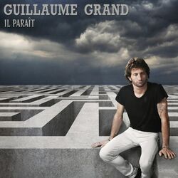 Cover of Il paraît