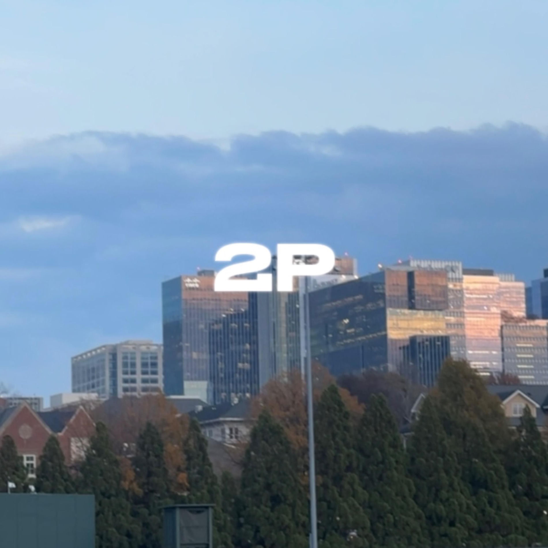 Album cover of 2P