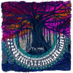 Cover of Tu Hai