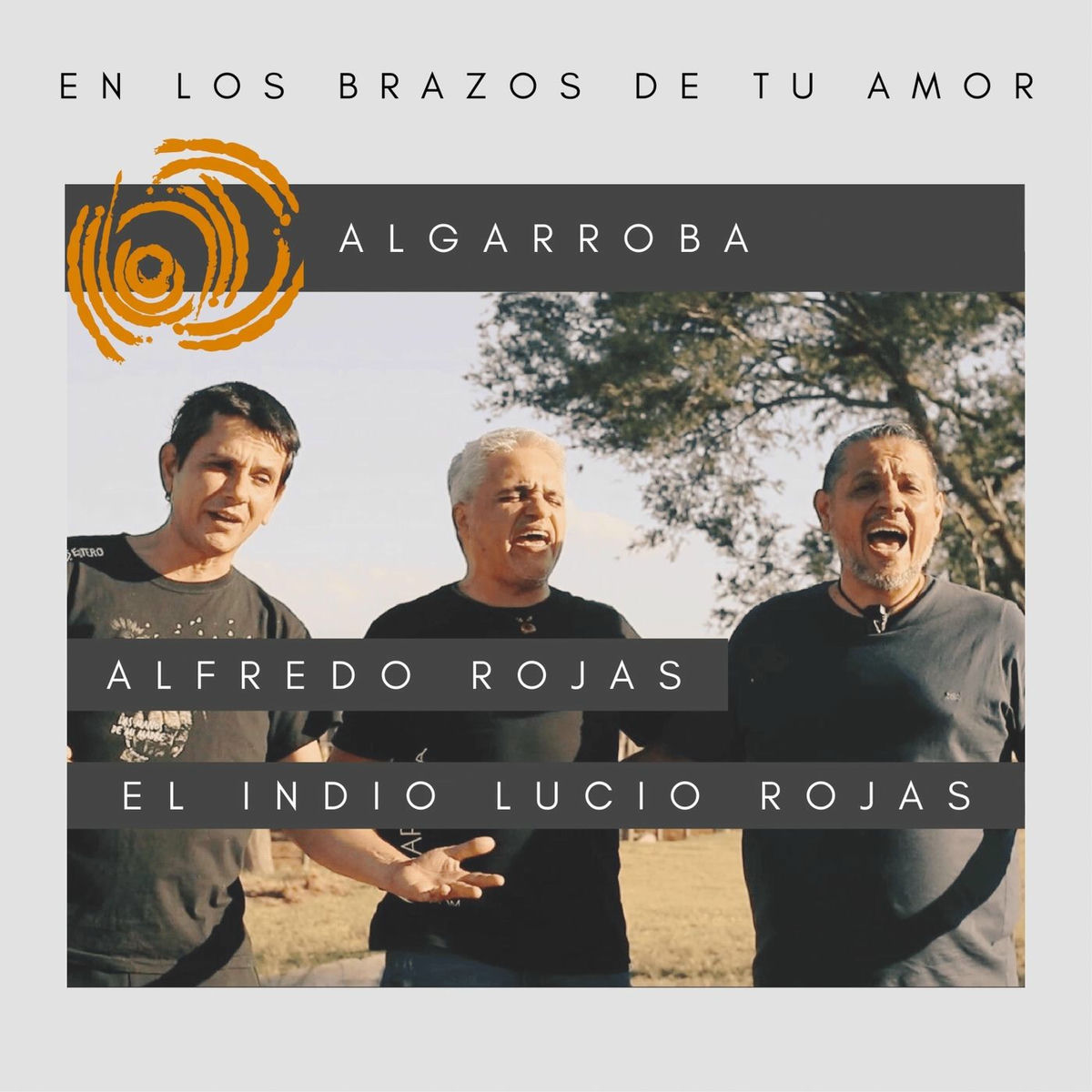 Album cover of En Los Brazos De Tu Amor