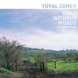 Cover of Song Without Words