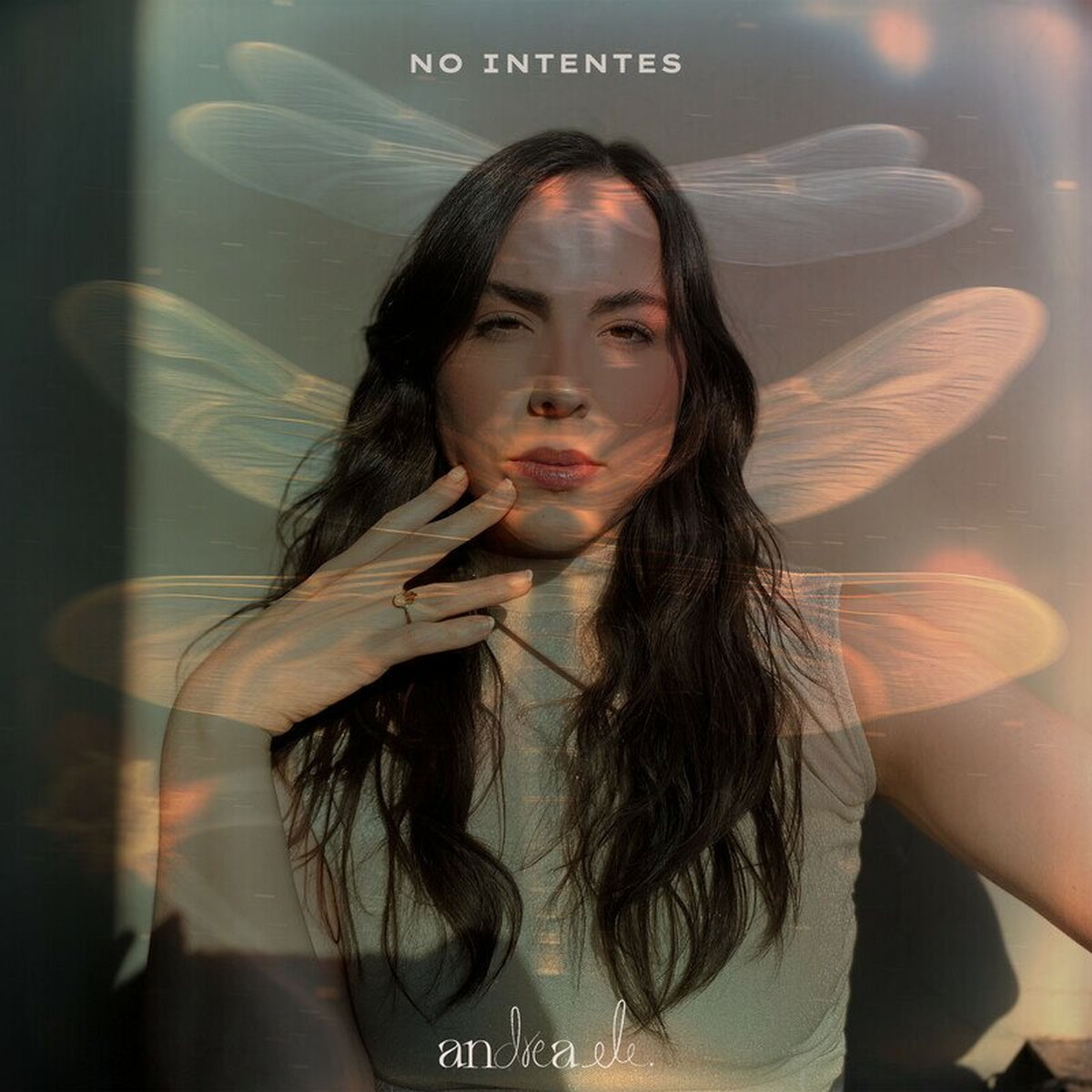 Album cover of No Intentes