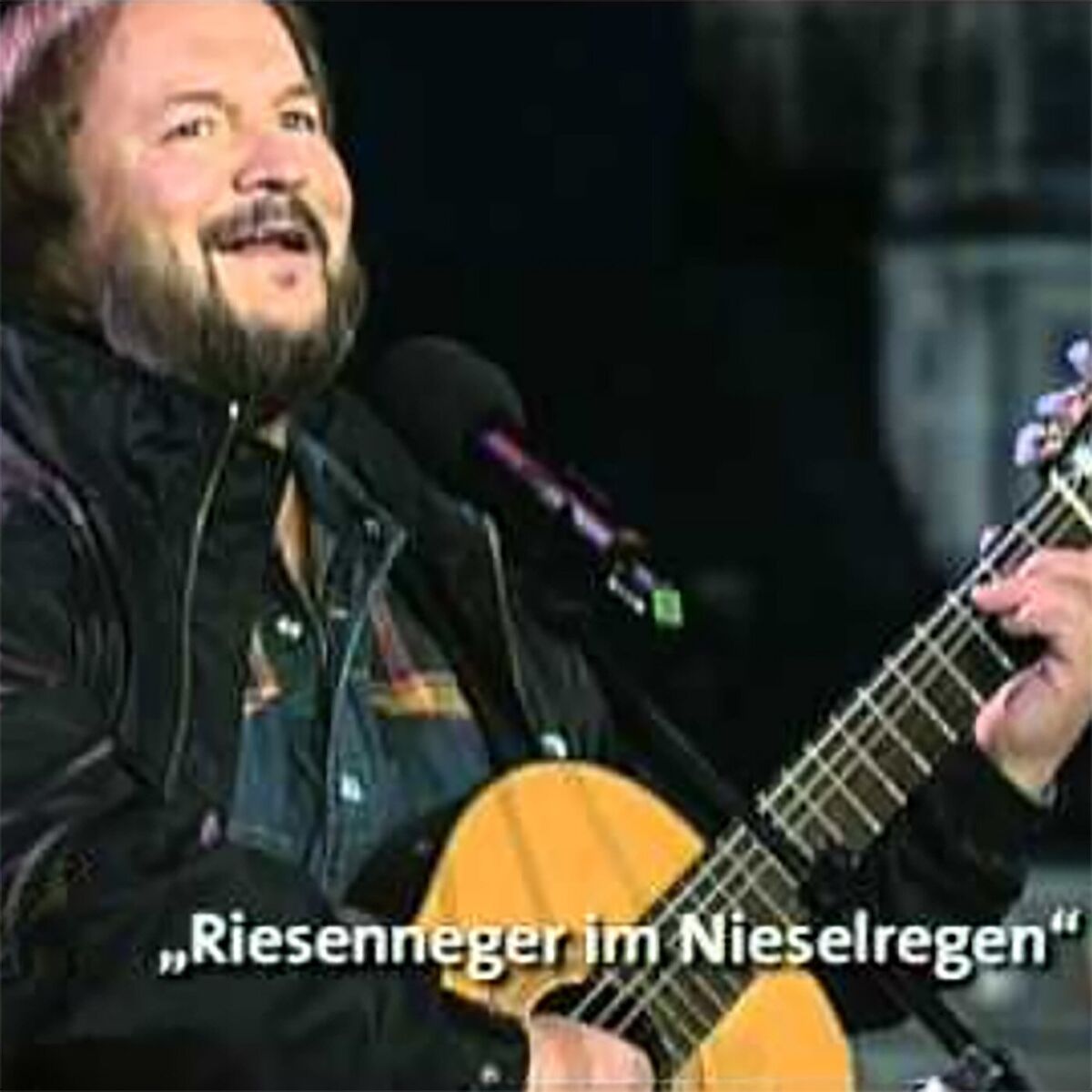 Album cover of Riesenneger Bei Nieselregen