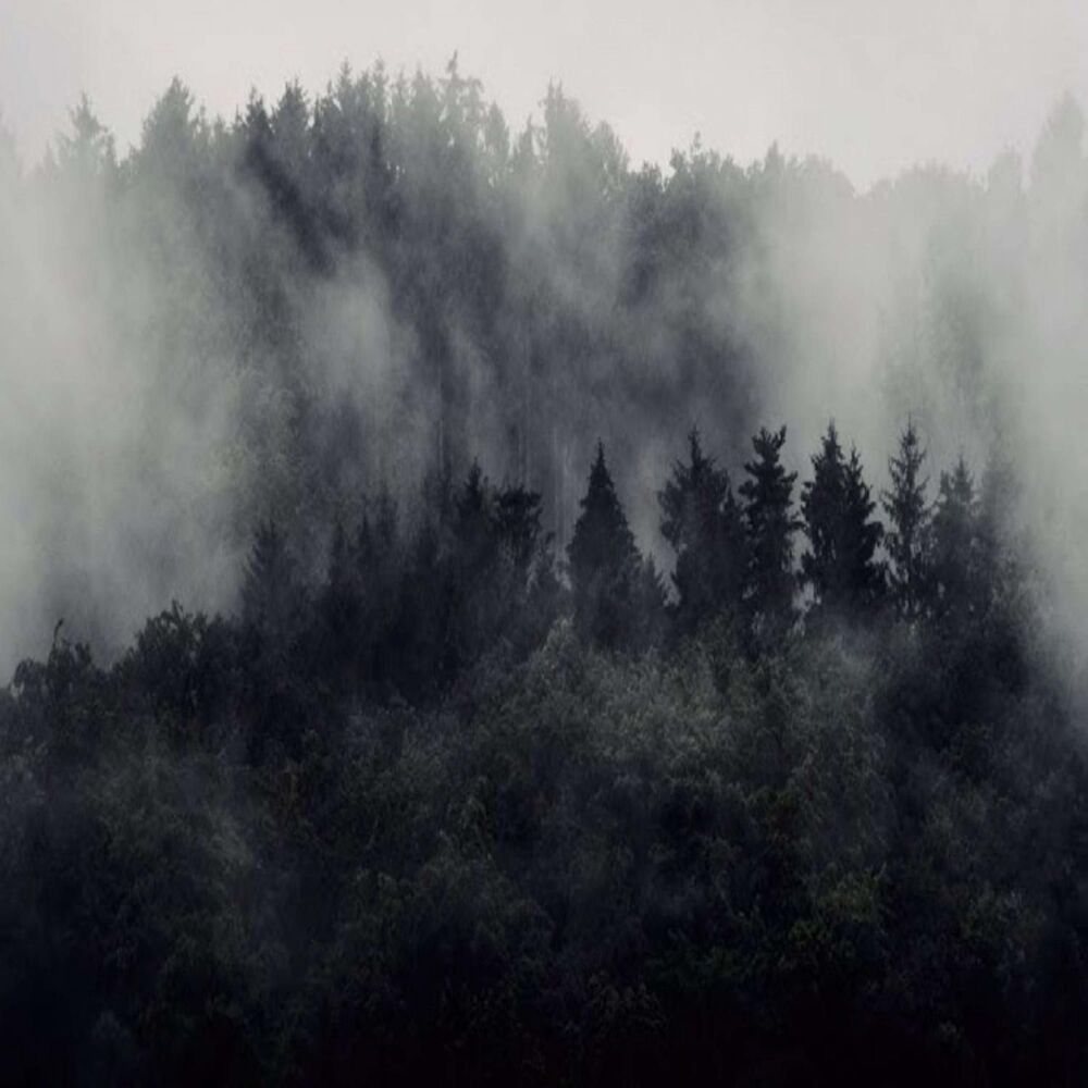 Picture of DARKWAVE