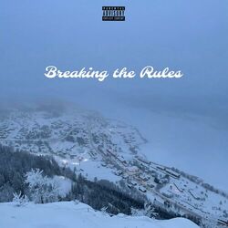 Cover of Breaking the Rules