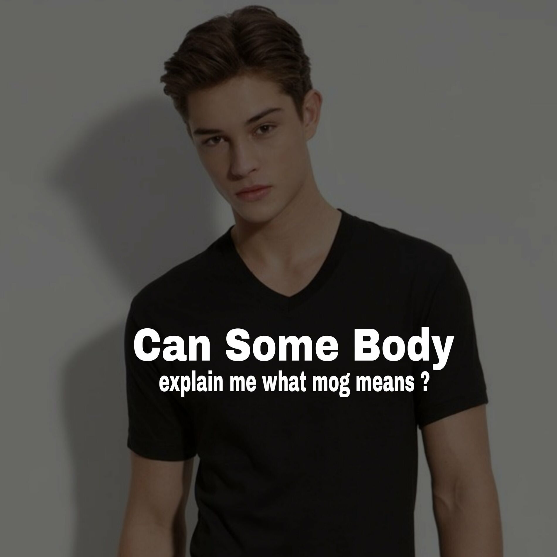 Album cover of Can Some Body Explain Me What Mog Means ?